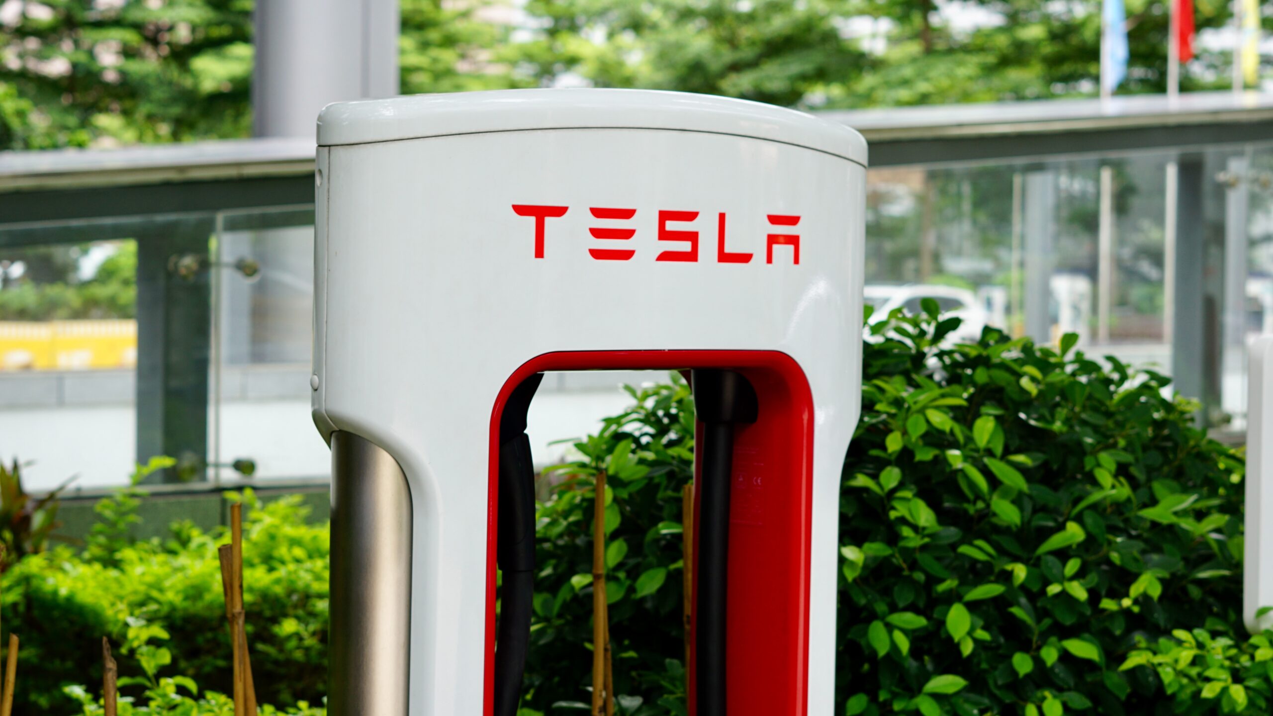 EV Charging Station Franchise and Tesla Supercharger Cost Explained Vetted Biz